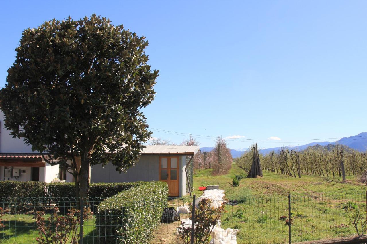 Casa Dell'Amicizia Apartment Castellani Luaran gambar